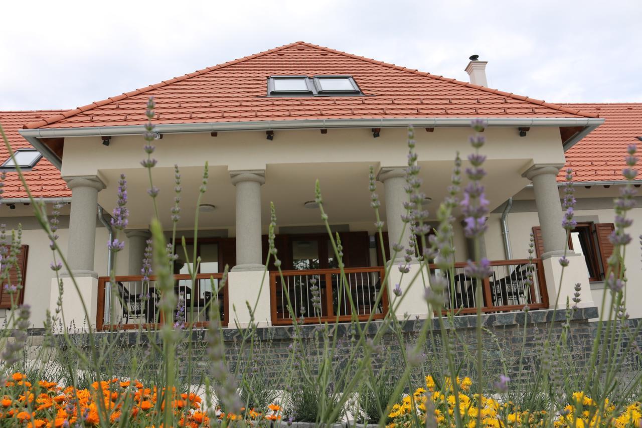 Gyulakeszi Villa Tolnay Vendeghaz מראה חיצוני תמונה